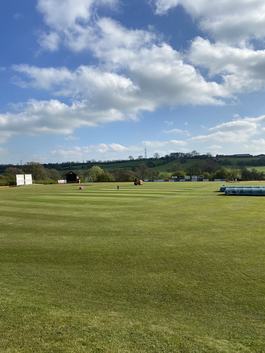 mikey allen tweet media