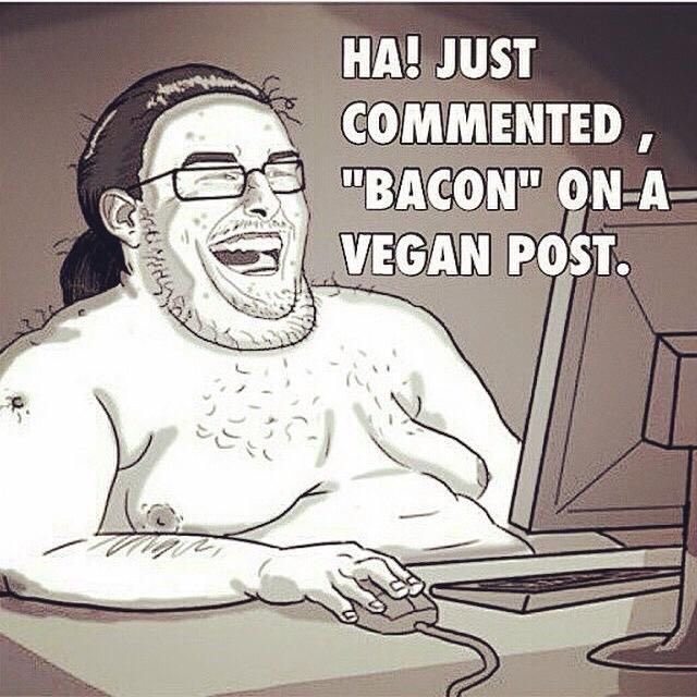 TalibanTof55270's tweet photo. @RSpurs1980 @AnimalRising https://t.co/awgroXnbRa