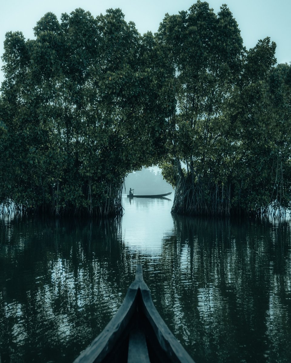 earth's tweet photo. “My ancestral house used to be near the lush green riverside of Bharathapuzha, and I have a lot of memories of a childhood sculpted in green. The extensive use of green on my images comes from a strong feeling from within.”
cc: @SavadMonk https://t.co/jmGr4Cu1On
