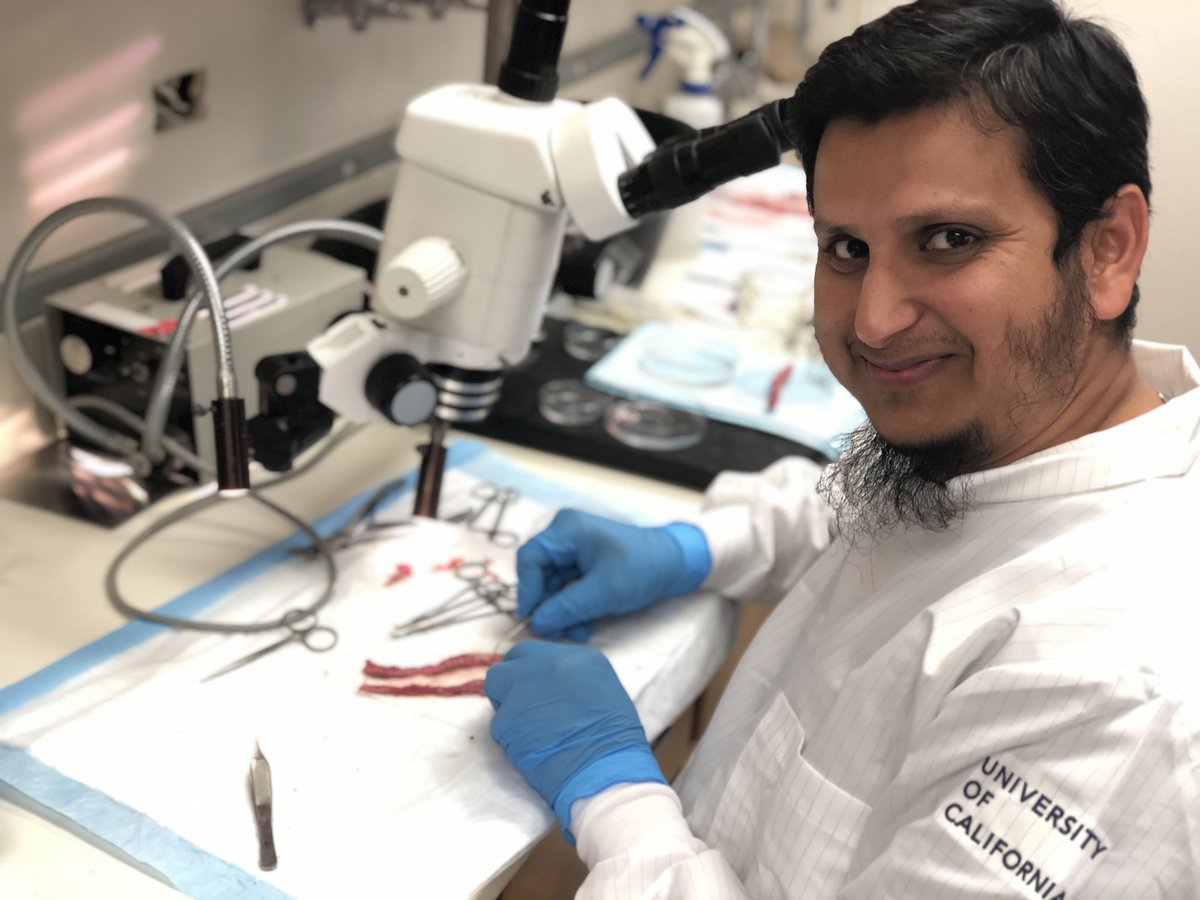 SobanUmar's tweet photo. Thrilled to share our latest findings on Cardiopulmonary Afferent Signaling and Thoracic Spinal Cord Neuroinflammation in preclinical and clinical PH published in @HyperAHA 

https://t.co/vHz9RlgpsZ

Outstanding thesis work 👏 by my @uclamcip PhD student @asifrazee !!! https://t.co/9Z4IaEz6Mz