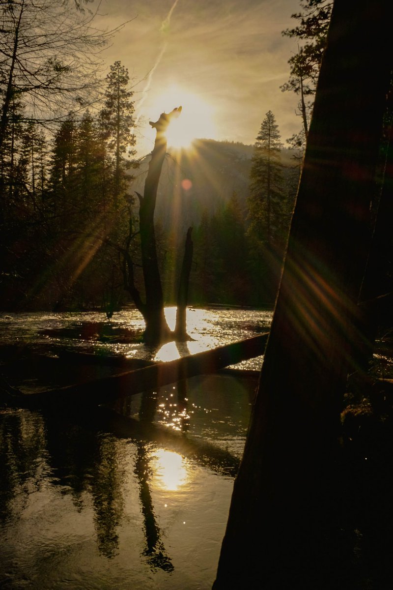 jocho0o's tweet photo. @FujifilmX_US X100T #FujifilmFriday
🏞️ https://t.co/i2bhfZyGOe