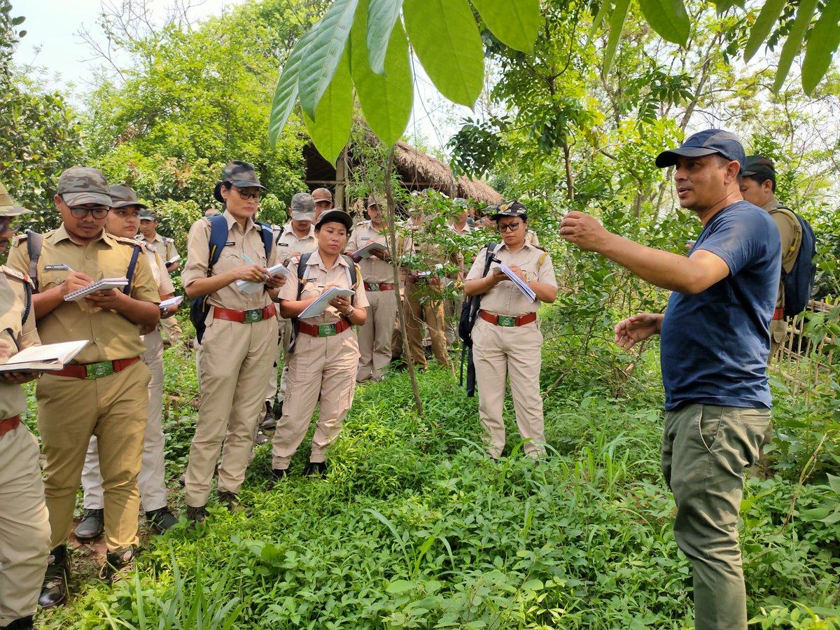 AFS_Assam's tweet photo. Trainee visited SPREAD NE FARM LEARNING CENTRE AND FOOD FOREST,Rupnagar,Sonapur.

On #Introductory session with Bamboo leaf tea _ lecture was delivered by Farmer Samir Bordoloi.

@cmpatowary
@CMOfficeAssam @mygovassam @mkyadava @sonalighoshdws @assamforest https://t.co/sPcvg3OQlH
