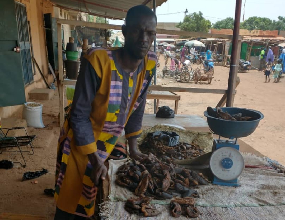 mali_express's tweet photo. En dépit de son accident qui lui a coûté une jambe il y a de cela plus de dix ans, notre interlocuteur vit de son travail pour subvenir aux besoins de sa famille. Ainsi, il se déplace dans les différents villages Bozo de Mopti pour...https://t.co/tKhJQ29sVo https://t.co/PiOGGcCMhf