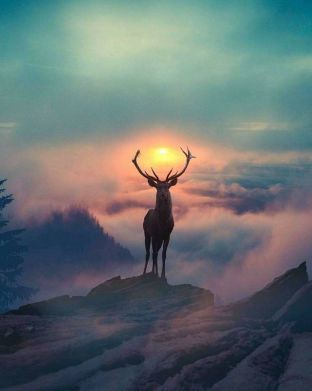 Emperorscott2's tweet photo. Follow for a follow back Friday (2/6)
👉🚶‍♀️***🚶‍♂️👈 these great #Resisters 
Accounts 👊 💥
@schultze_scott
@kathycalitri
@Primestartmedia
@RjRonaldjriley
@THE1B4THE1
@PUFF_NOVA
@tyrone_fu
Please like ❤
and retweet 🙏 
It helps all of us grow! 👊 
#StrongerTogether https://t.co/cUqTI6ysRB