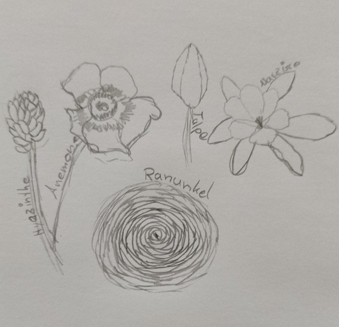 RayaMidnight's tweet photo. Day 9 of my daily drawing challenge

Prompt: April https://t.co/DJcrXFcZsx
