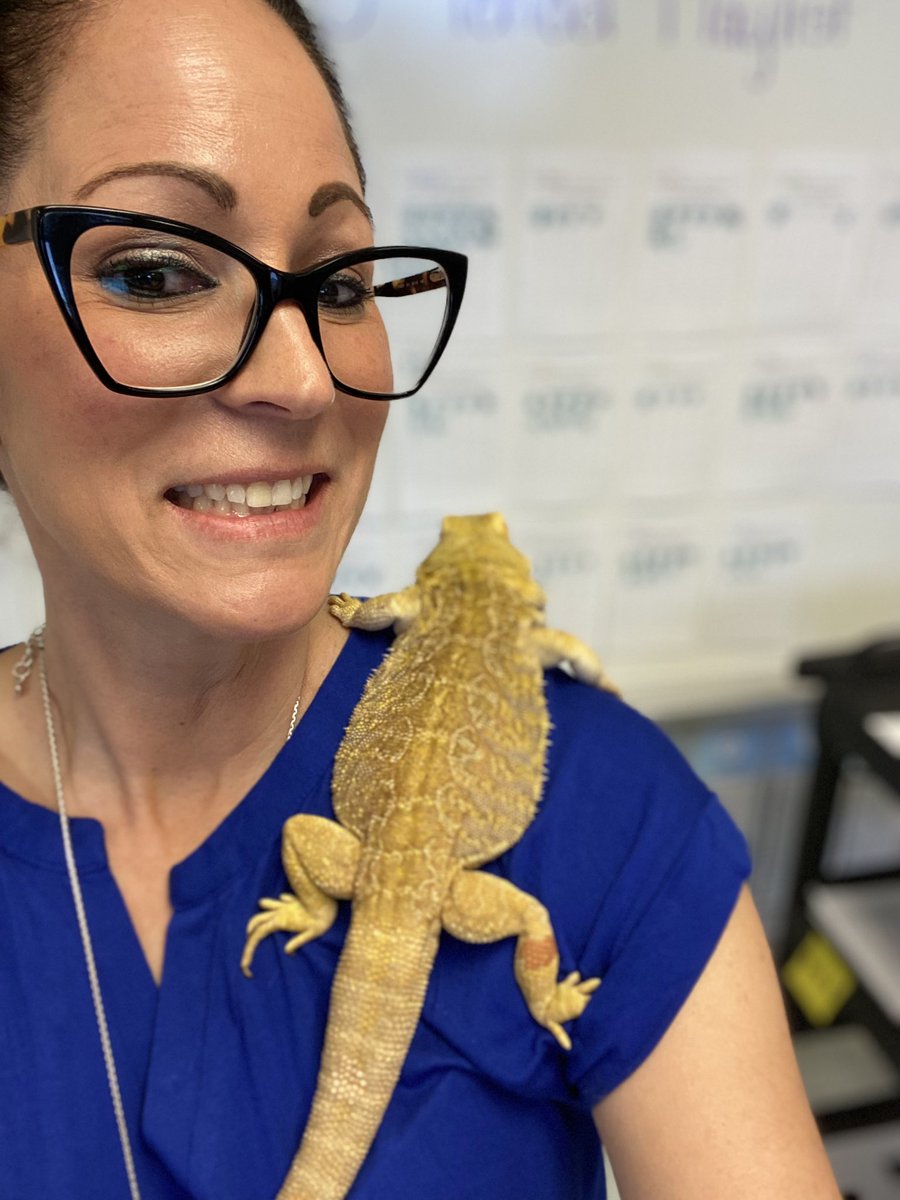 DrRoye's tweet photo. Channeling my inner Ms. Frizzle with Animal Therapy to combat test anxiety. https://t.co/XTup6KsTmi