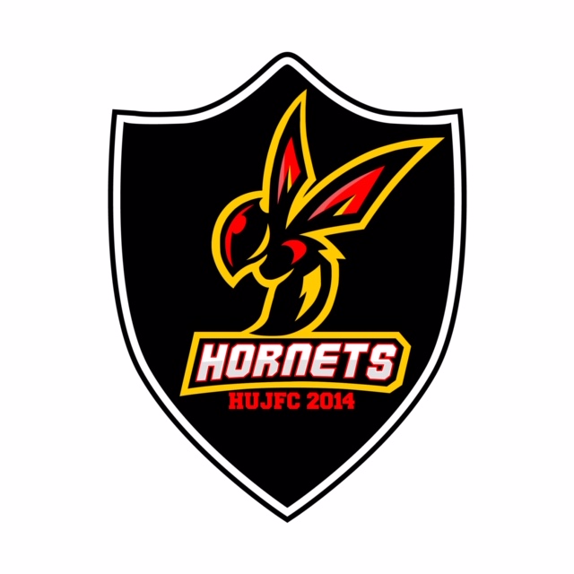 higgs340's tweet photo. @hujfchornets In need of a footie fix⚽️Still important, exciting fixtures for Saturday squads, 15sG away, 16sR at the Arena and looking for support to cheer on our 18sGirls at the Arena who their last game for our super club before pastures new⚽️🐝👍 https://t.co/jNCumi6mi0
