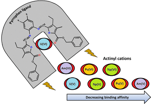 bhkenlo's tweet photo. Periodic Trends in the Stabilization of Actinyls in Their Higher Oxidation States Using Pyrrophen Ligands https://t.co/ItLENFVNuw Jennifer, Gao, Schreckenbach, and Varathan @InorgChem #actinyl #porphyrin #LMCT #ETS_NOCV #EDA #MO https://t.co/o45OWL5xGz