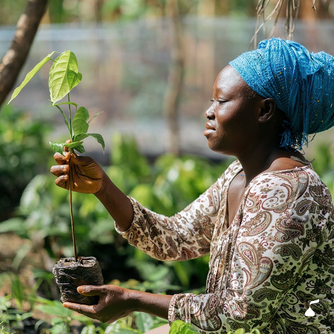 careciv's tweet photo. The Hershey Company est fier de lancer son accélérateur de revenus en partenariat avec le Conseil du Café-Cacao, CARE et Rainforest Alliance. 
Pour en savoir plus sur cette initiative passionnante : https://t.co/HKs8BZhpmf

Image @ The Hershey Company https://t.co/bJJSFfFxo8