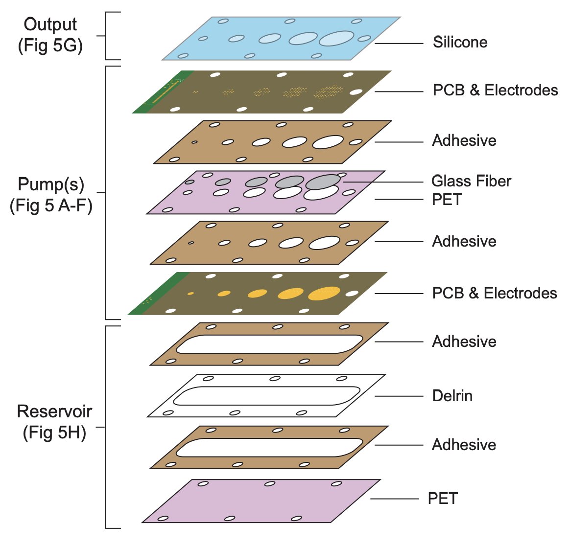 Display Daily tweet media