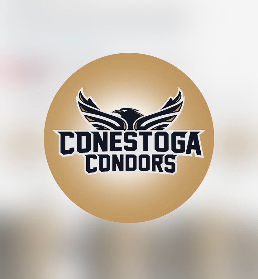 I feel absolutely blessed.  I have accepted the role of head coach for Conestoga College Women’s Softball!  I will be an employee of Conestoga College. Unreal. 

I just wanted to give thanks to those that kept patient with me as I learned to be a true leader

#condorpride