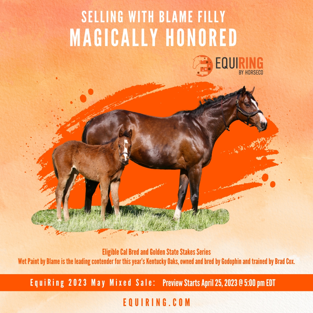 1EquiRing's tweet photo. Magically Honored by Honor Code selling with 2023 Blame filly on May 2nd! View her listing here: https://t.co/gNlBVyx7J6 https://t.co/fDq2YsyXOU