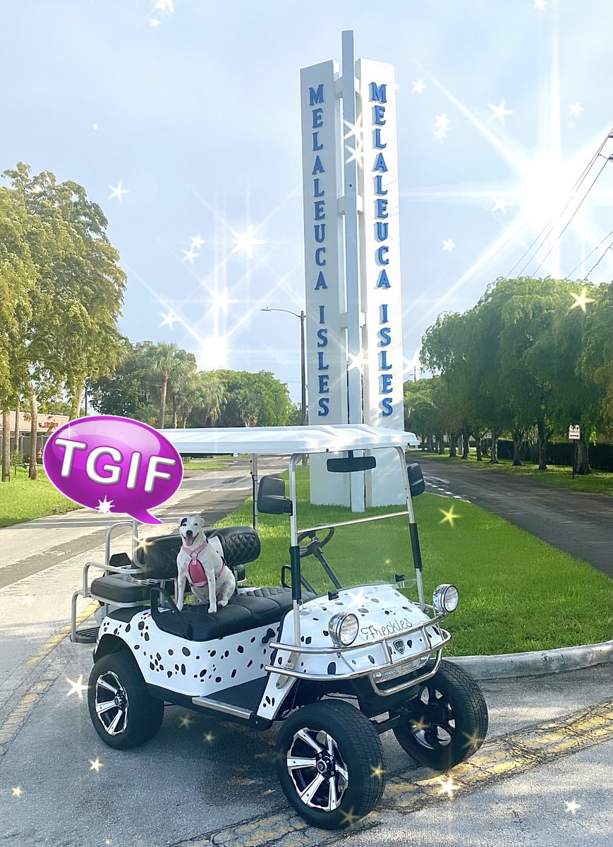 FrecklesMPD's tweet photo. #TGIF have a #HappyFriday 🐾😘💖🐶🥰 https://t.co/eMqXhT9BJw