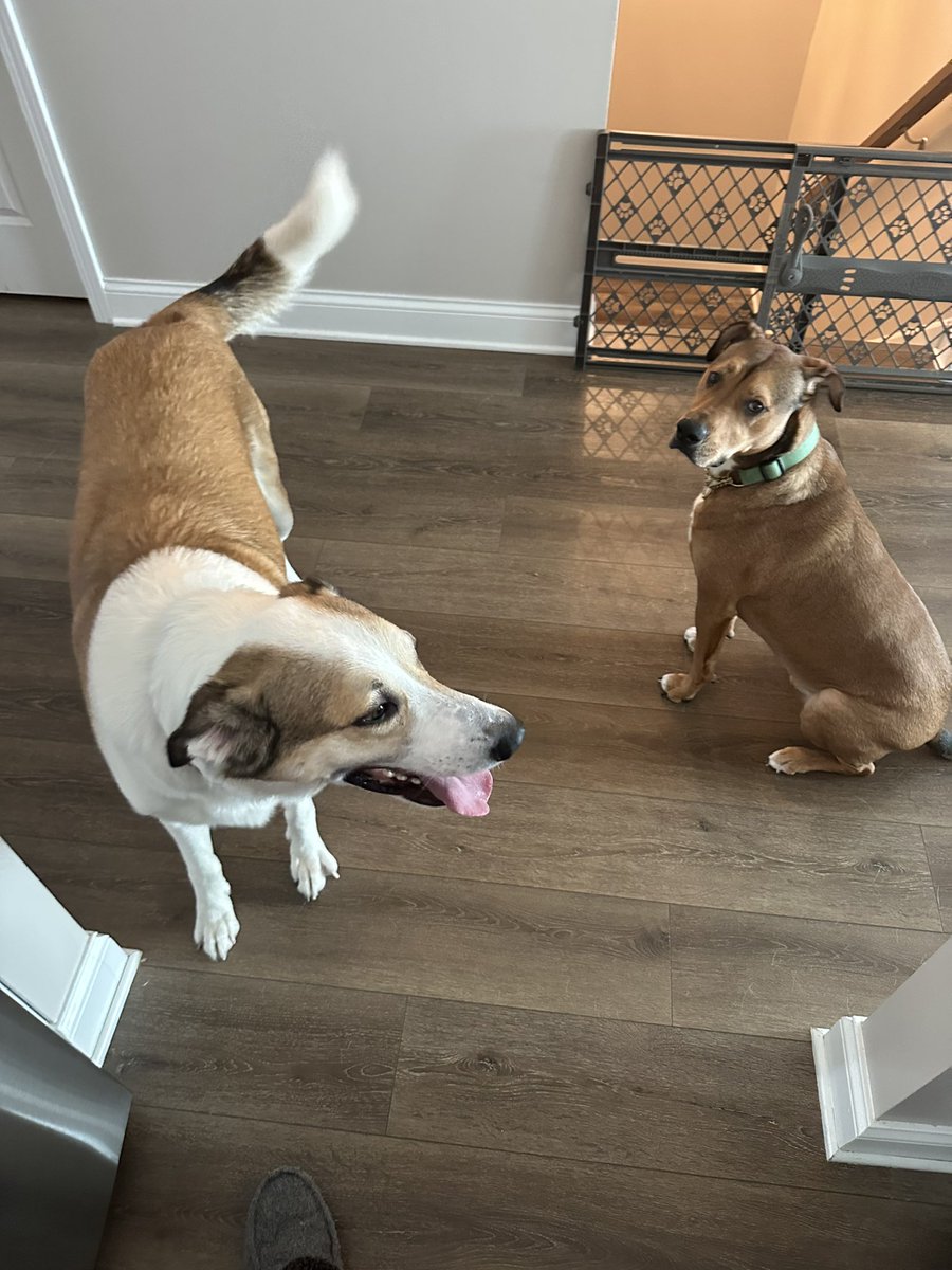 Jon Kefaloukos 🇬🇷 tweet media