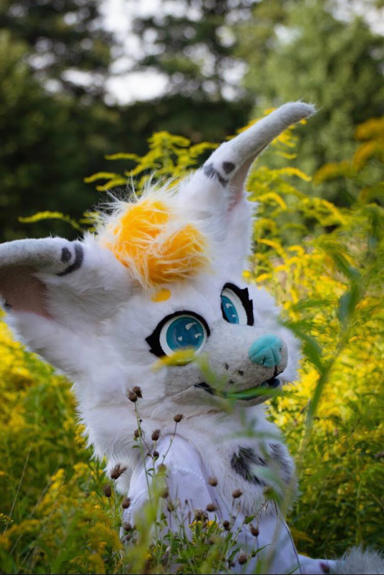 JaneDeFennec's tweet photo. nature is beautiful, isn't it? ÓwÒ🌻☁️🌻✨💚 I hope that the weather will be beautiful this #furryfriday as well 
🌔🌱🌗🌱🌗🌱🌗🌱🌗🌱🌗🌱
#furryfriday #furryphoto #furryphotography #furryphotoshoot #fursuitinginpublic #fursuit #fursuiter #furryfennecfox #fursona #fursuitfennec https://t.co/4wb83E4SXu