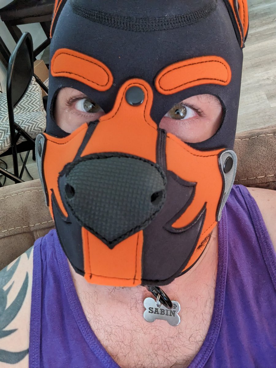 PupSabin's tweet photo. First post in a while, but back to pup times 🐶

#gaypup #pupplay #humanpup https://t.co/plpsre1eji
