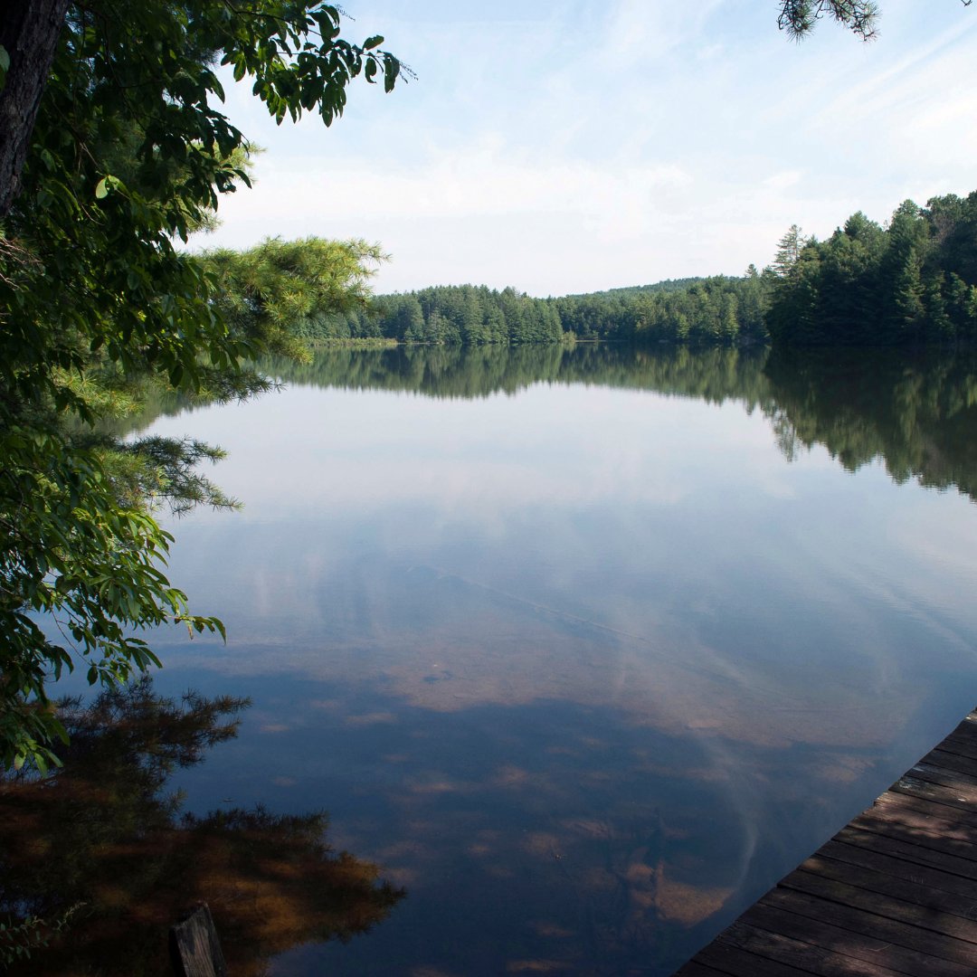 With the weather set to be a little warmer over the #bankholidayweekend, we encourage everyone to #EnjoyWaterSafely!
Here are some tips:
🏊‍♀️ Always swim within your capabilities
🏖️ Never swim alone, and make sure there is a lifeguard on duty
🌊 Be aware of underwater hazards