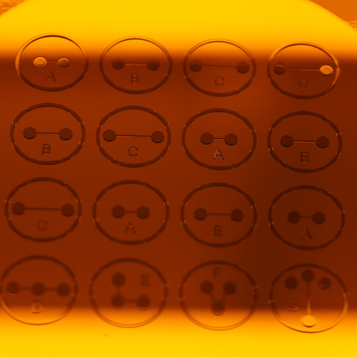 OpenMIND_EIC's tweet photo. Microstructures to explore organoid communication.
#OpenMIND_EIC #neuroscience
#PhDLife, #euproject #microfluidics #innovation
#NeuroSens #sciart #dtu #Nanolab
#bioengineering https://t.co/CMfPdWWPcf
