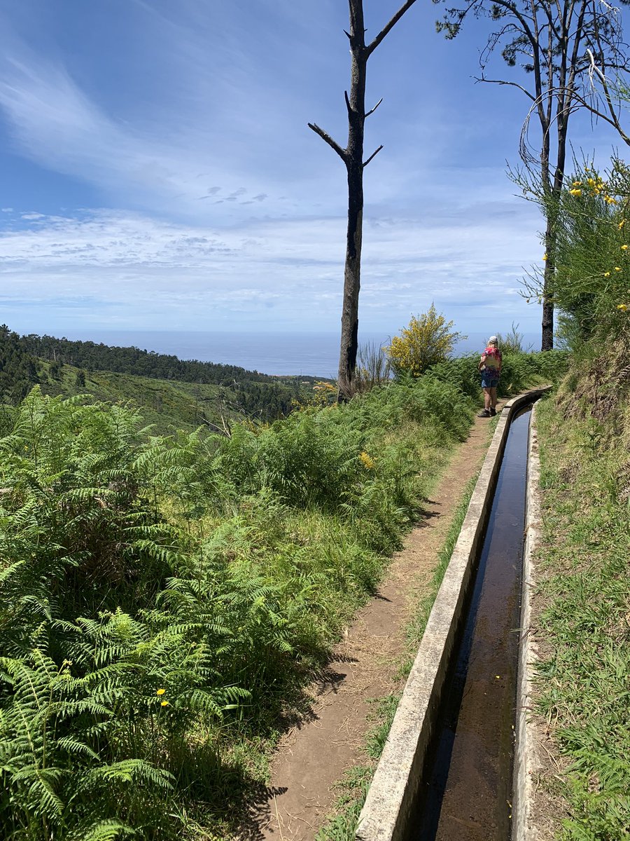 OnnoHansum's tweet photo. Walking in Ponta do Pargo, levadas with a view! #pontadopargo #hiking #walking @Madeira @madeira_islands #loveit https://t.co/NVkRvUJd0h