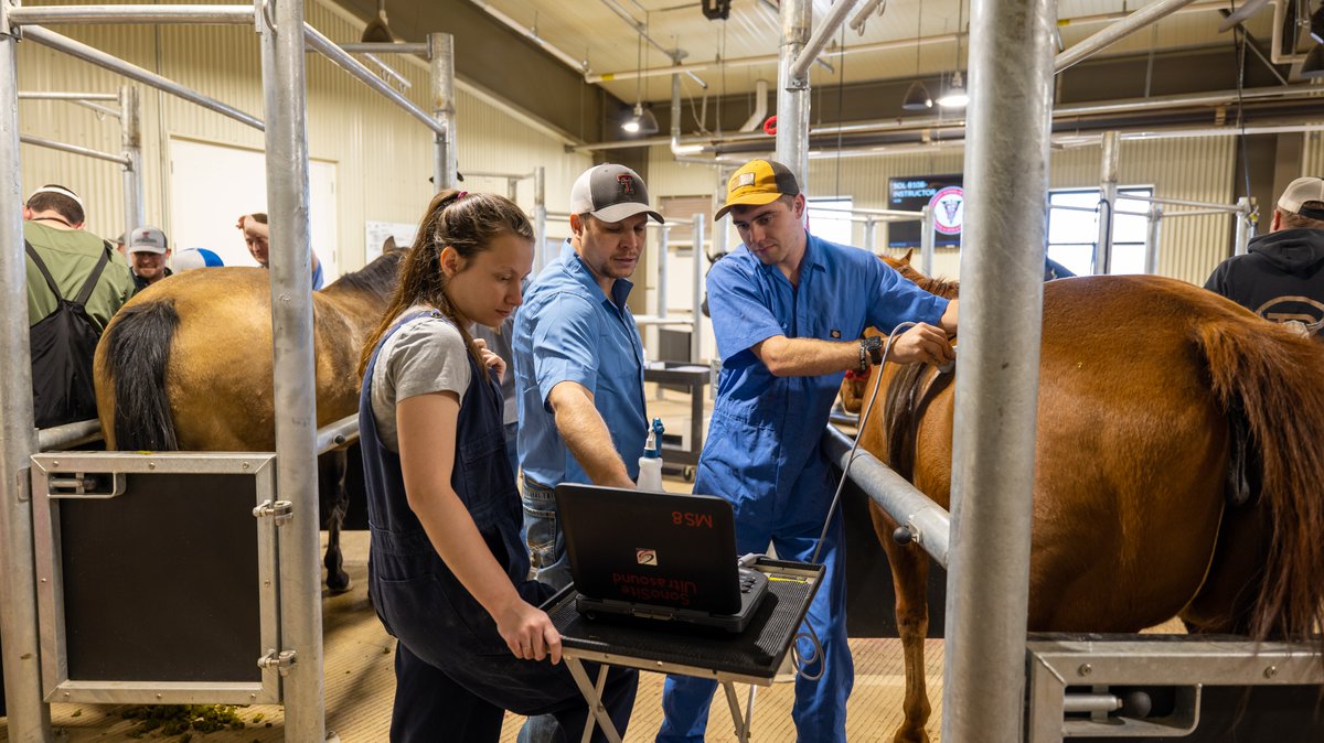 TTUVetMed's tweet photo. It’s world Veterinary Day!

We are thrilled to be teaching our RaiderVets the art of veterinary medicine.

They help us achieve our Purpose!

Guns Up RaiderVetNation!

#TTUVetMed https://t.co/OT2x6uSMGX