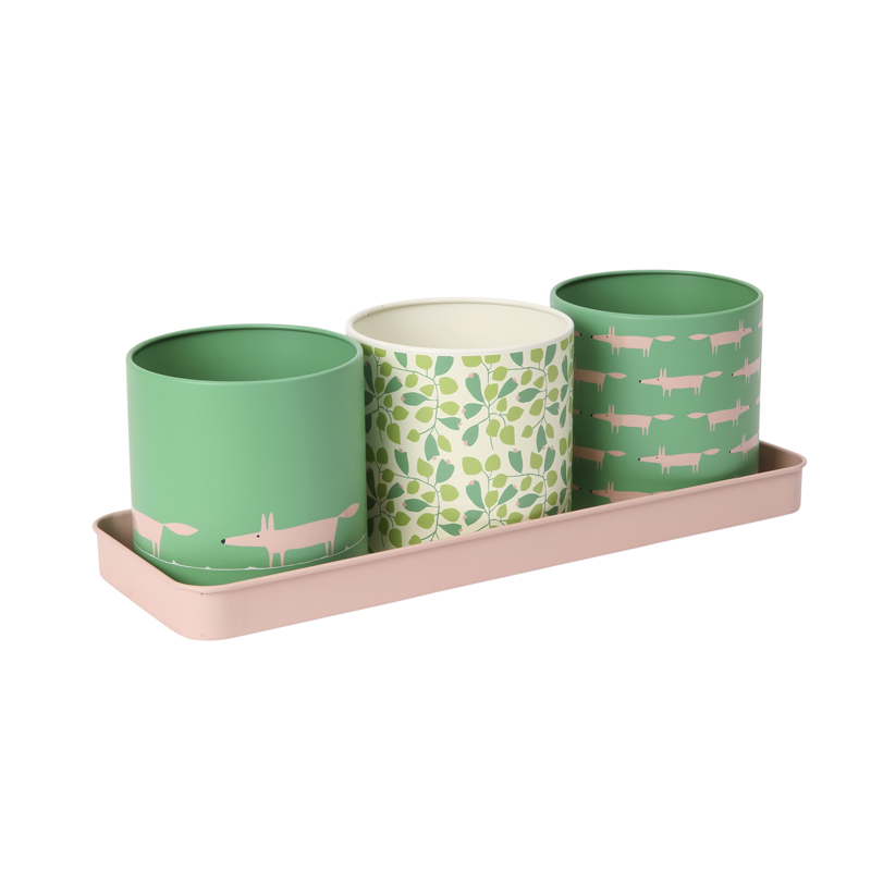 Dexam International tweet media