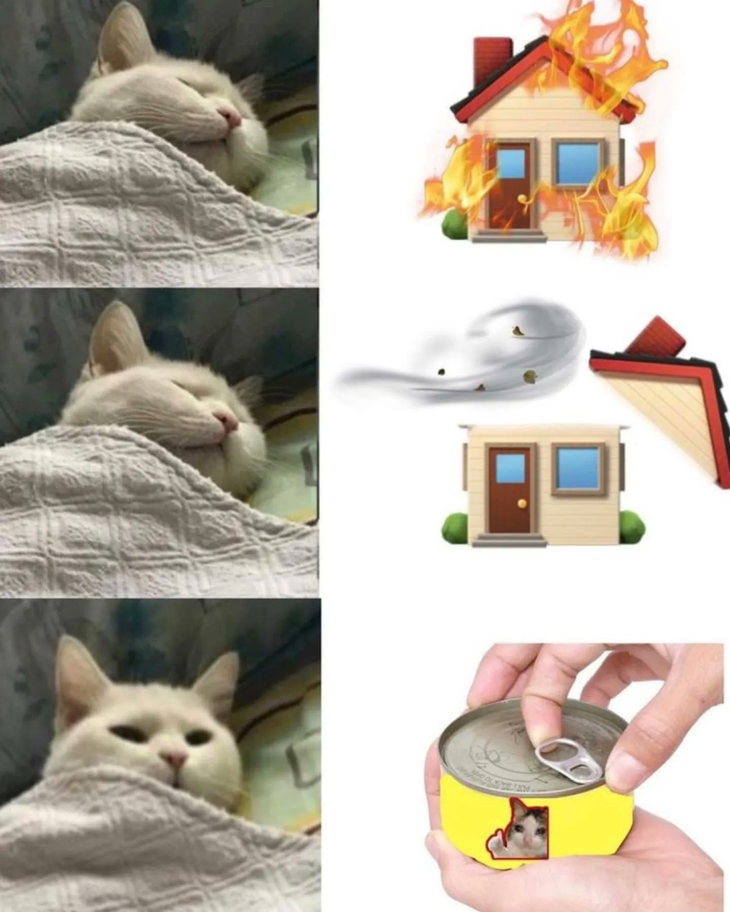 Fu0DAyqX0AE07vN?format=jpg&name=large