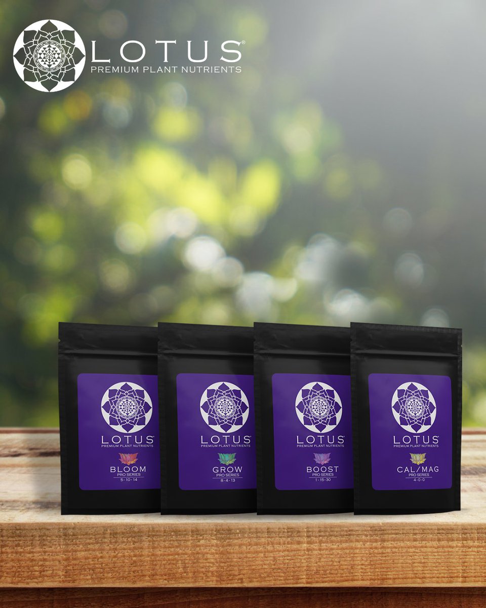 🌱 Meet the Lotus Nutrients Intro Packs - the perfect way to start your journey toward healthy and thriving plants! 🌿🌺

😁 Grow with Lotus today: l8r.it/CyGz