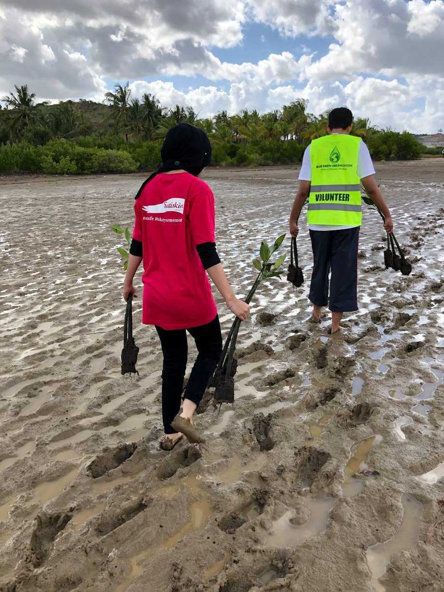 BlueEarthOrgan1's tweet photo. 5⃣reasons you should plant mangroves (for you!)

😊Reduces stress and anxiety
😍Improves mood
🏋️‍♀️Boosts physical health
🎨Enhances creativity
🧘‍♀️Increases mindfulness

So join us on 6th May for a day of fun, adventure, for you and our planet! 

Register https://t.co/6iHA27IdCt https://t.co/covyp6RCVf