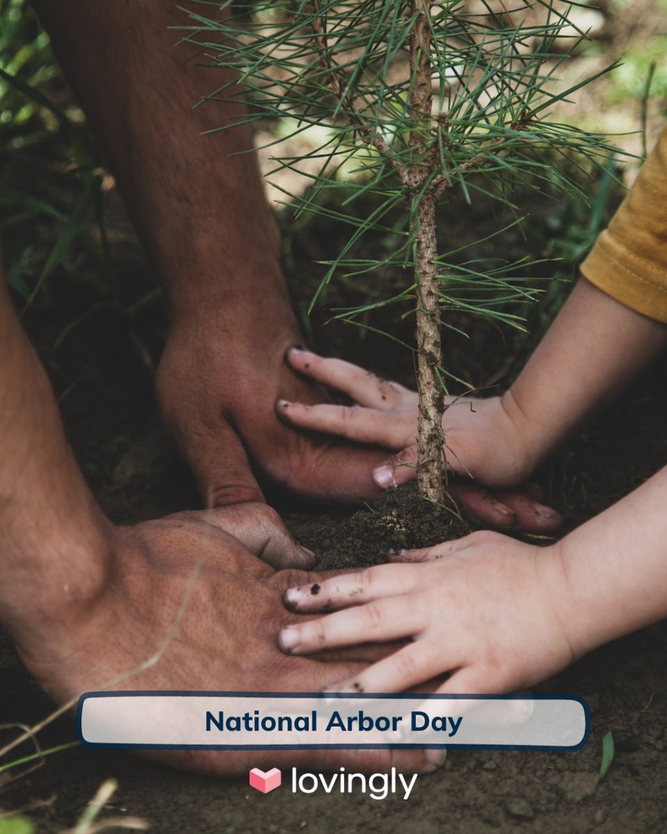 givelovingly's tweet photo. Planting seeds of hope and love today, for a greener tomorrow 🌳🌲 Happy Arbor Day!   
#arborday #nationalarborday #plantatree #givelovingly https://t.co/TEBJfU3ojb