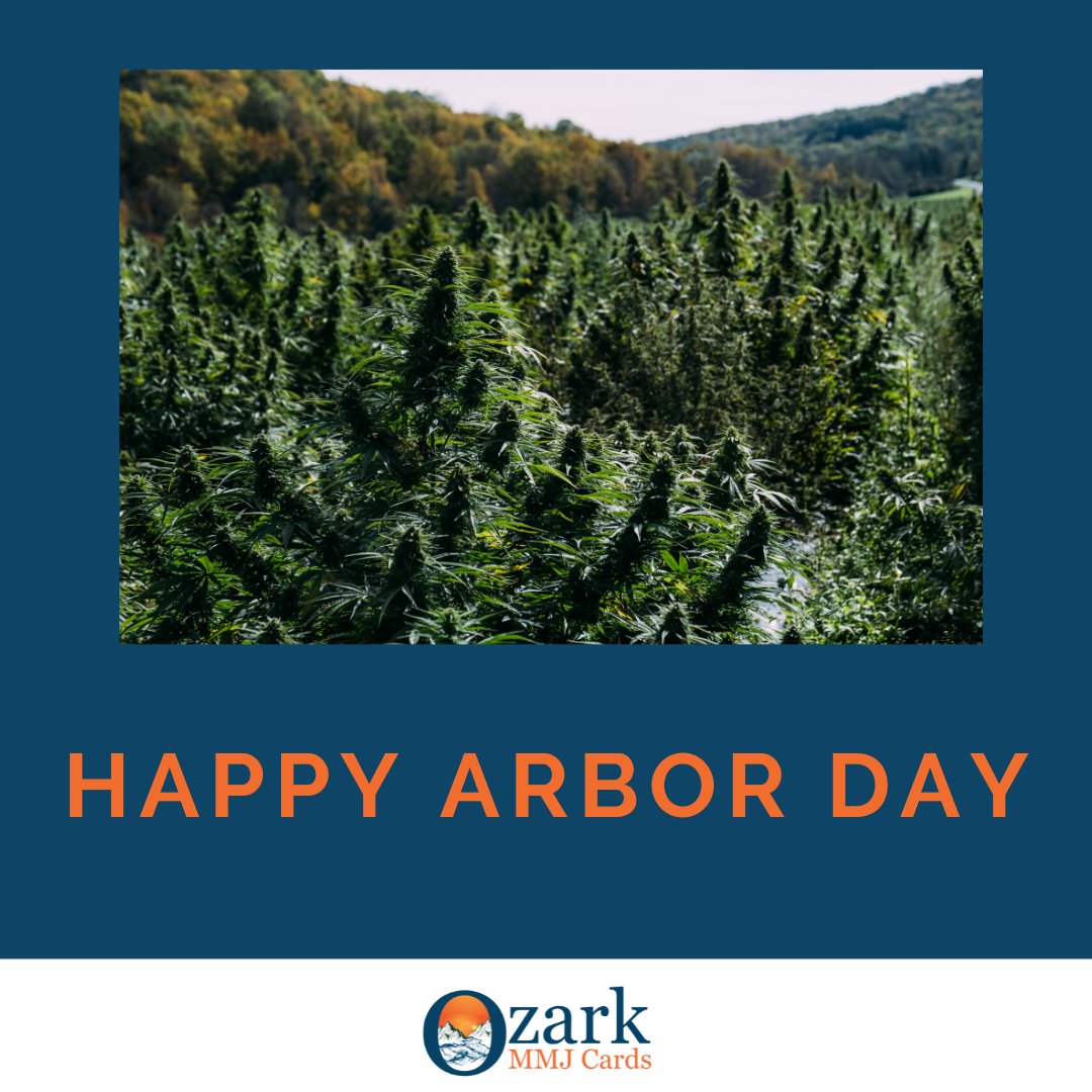 OzarkMMJCards's tweet photo. Now that's our kind of forest!

Check out organizations such as @onetreeplanted to help plant trees where they are needed most.

#arborday #trees #forests #treecare #plantatree #savetheforests #oxygen #planttrees https://t.co/AygaHNFdQR