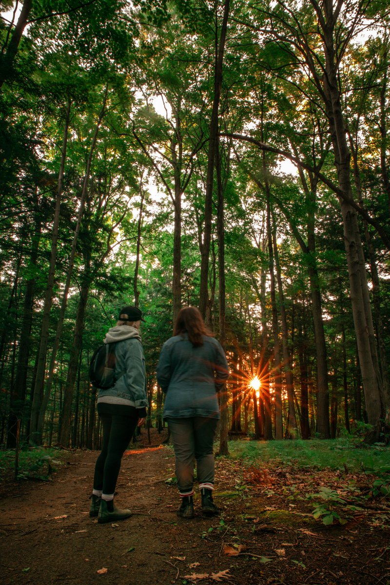 Looking for a fun outdoor activity? Join us for a free guided walk in #RougeNUP! Explore the beautiful park and learn about local wildlife. Registration is not required. #Hiking   ow.ly/9C8O50NPCml
