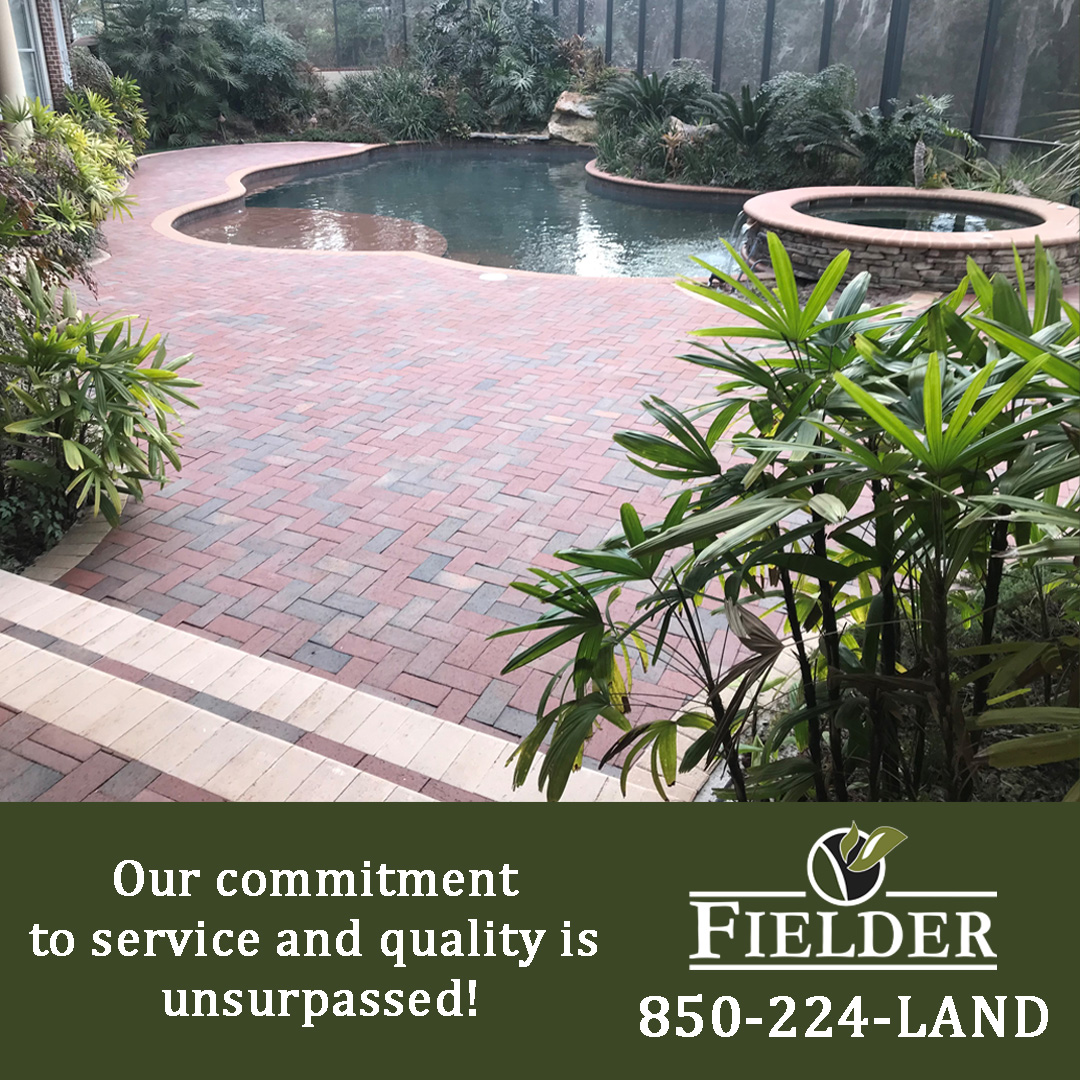 fielderandassoc's tweet image. Our team is ready to assist you with your next outdoor project!😎
📲Call 850-224-LAND to schedule your professional consultation with one of our experts today!

#oneteamonefamily #fielder #landscaping #hardscaping #pooldecking#buildanddesign #outdoorliving #outdoorspaces