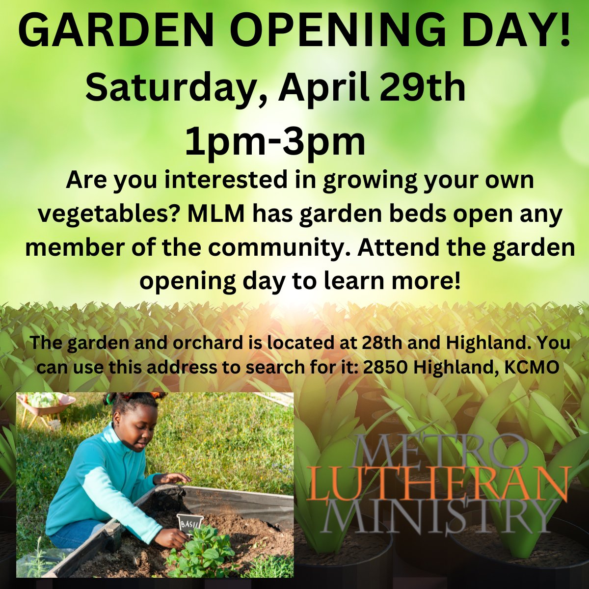 mlmkc's tweet photo. If you are interested in growing your own vegetables, MLM has garden beds open to those in community! Attend the opening day of garden and orchard and claim your garden bed! #mlmkc #communitygarden https://t.co/xT6G6cfnIM