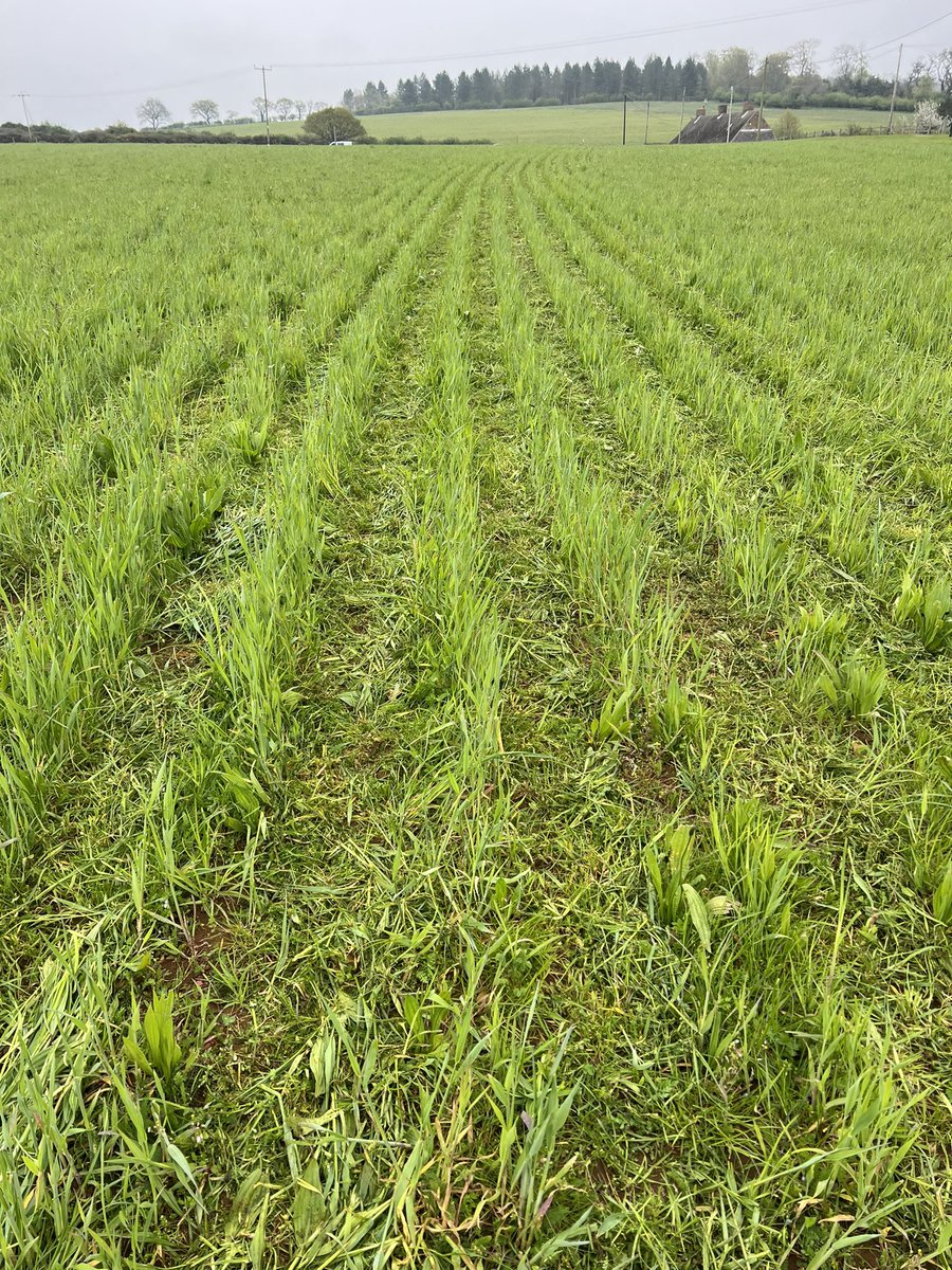 Nick Padwick tweet media