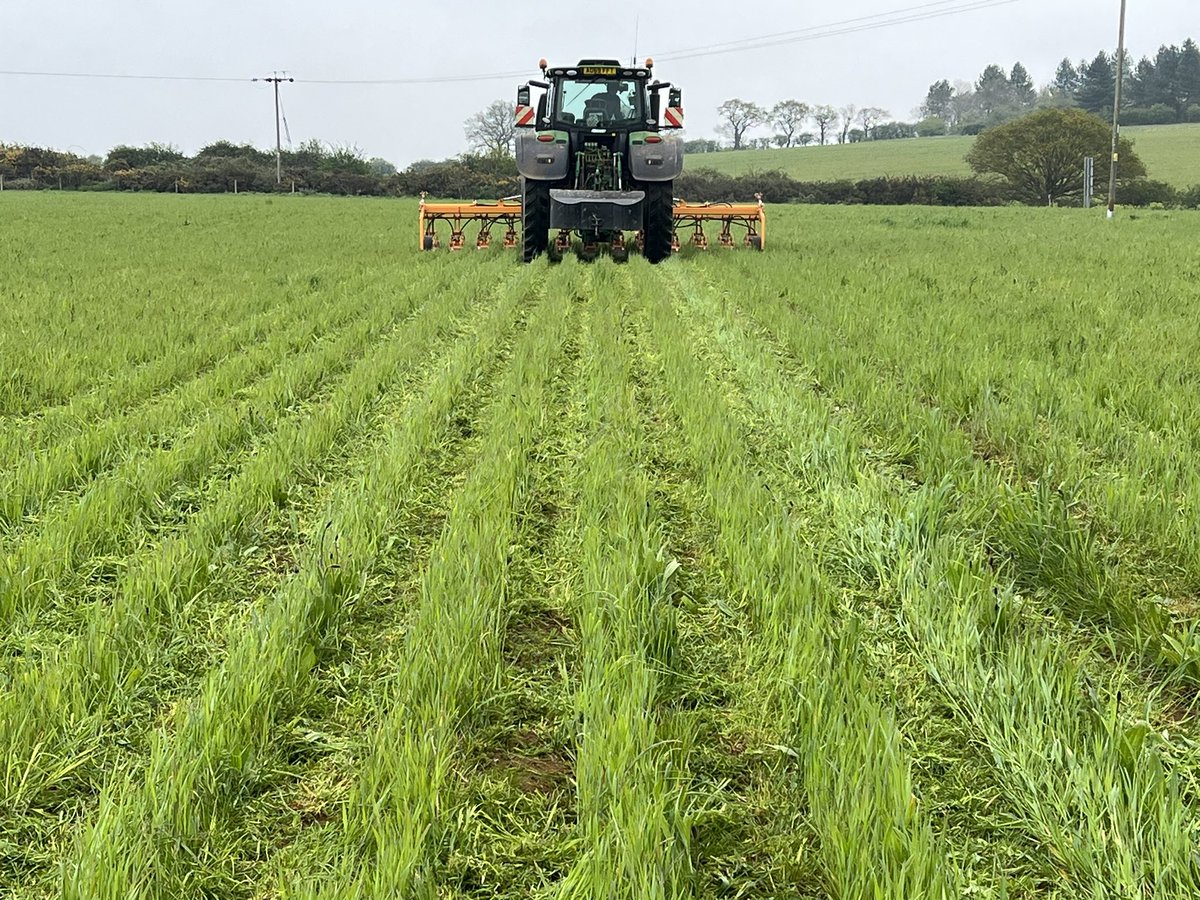 Nick Padwick tweet media