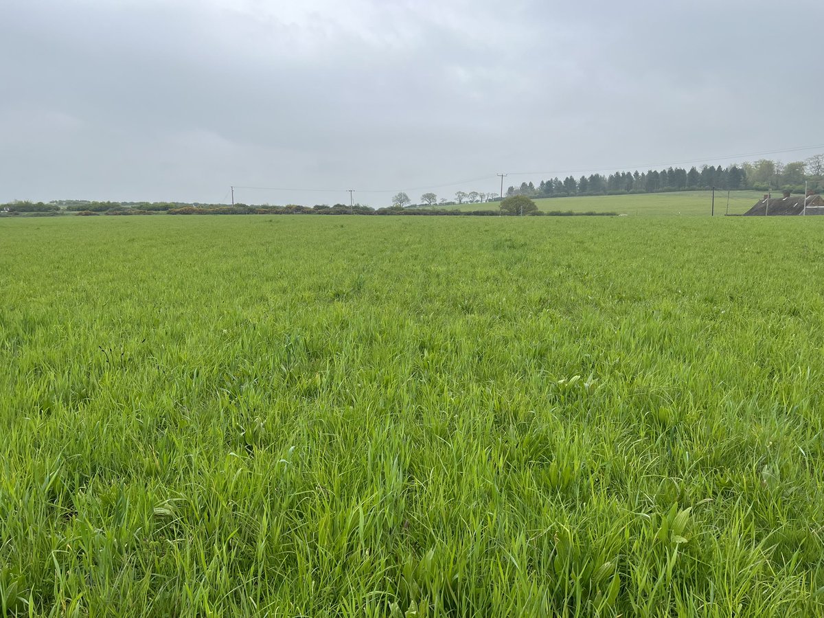 Nick Padwick tweet media