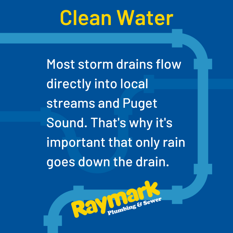 RaymarkPlumbing's tweet photo. 206-430-1954
https://t.co/BiN2hE4MaP
#raymark #neighborcertified https://t.co/g0VsKZD8is