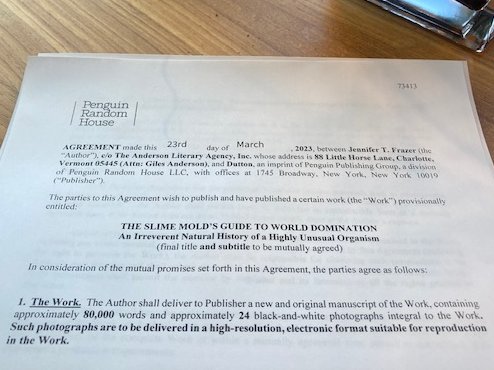 Jennifer Frazer tweet media