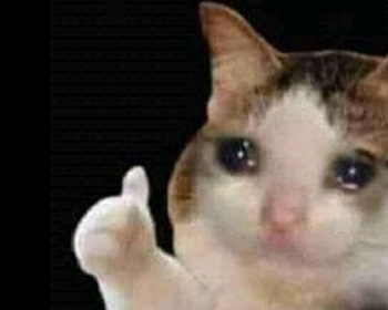 Captain Ollowayn tweet media