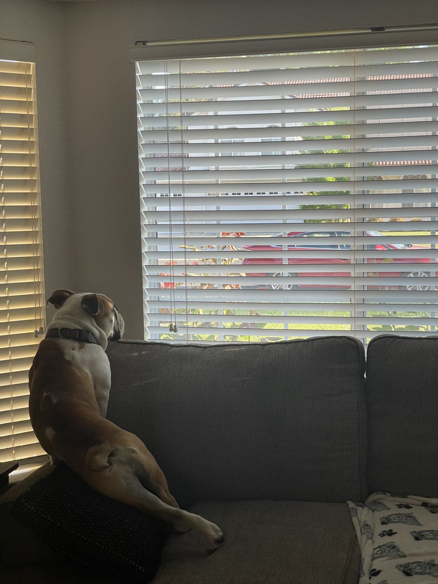 Paint me like one of your frenchies