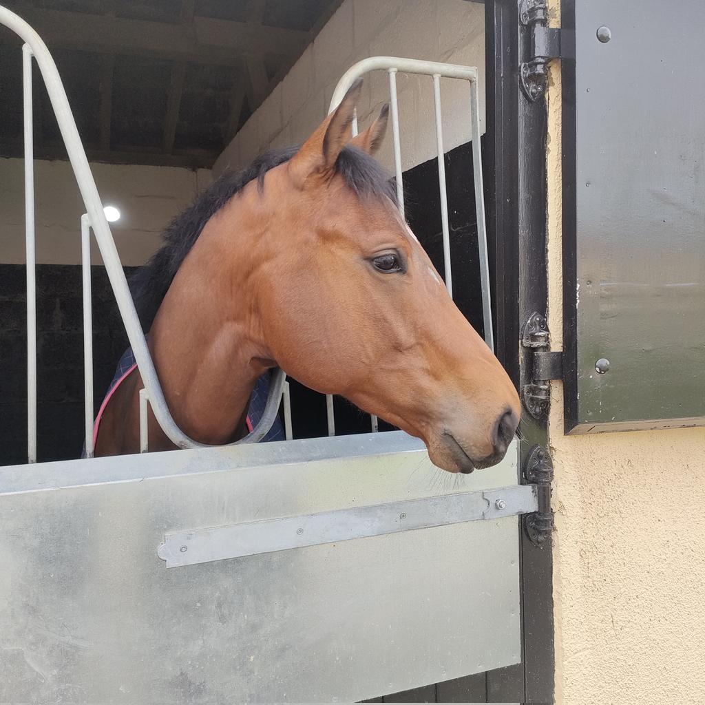 lightowler12's tweet image. #NewProfilePic