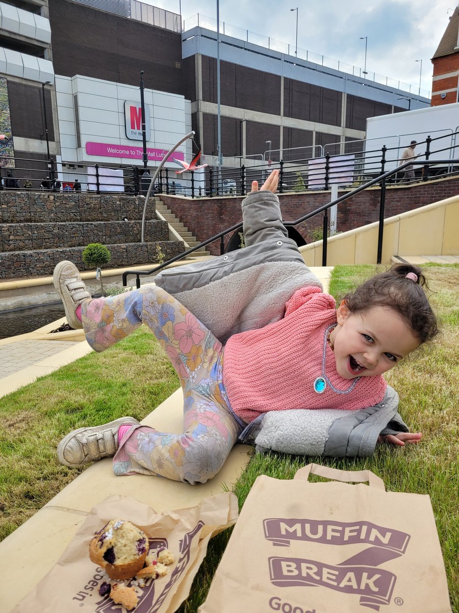 ngyt_uk's tweet photo. @lutoncouncil our little🦩lover totally approves.

A beautiful addition to the town #loveluton https://t.co/qK7qFeM7A5