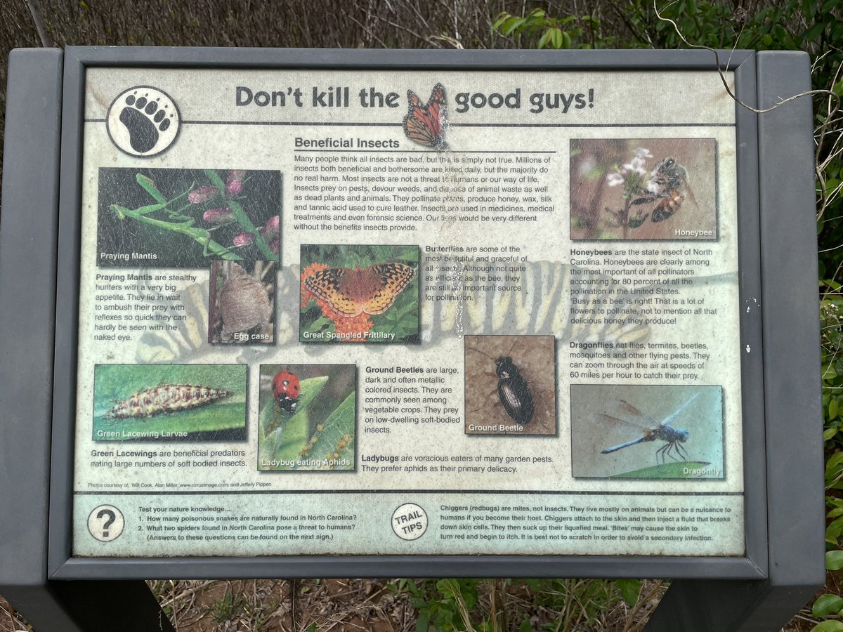 PollinationCnxn's tweet photo. #pollinators https://t.co/Y2NbFTksua