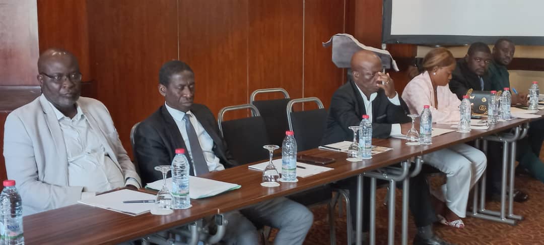 Travaux en atelier : EFFETS SUR LES BENEFICIAIRES
Participants en atelier.
 #participants #PeaJeunes #agropastorale #entrepreneurs