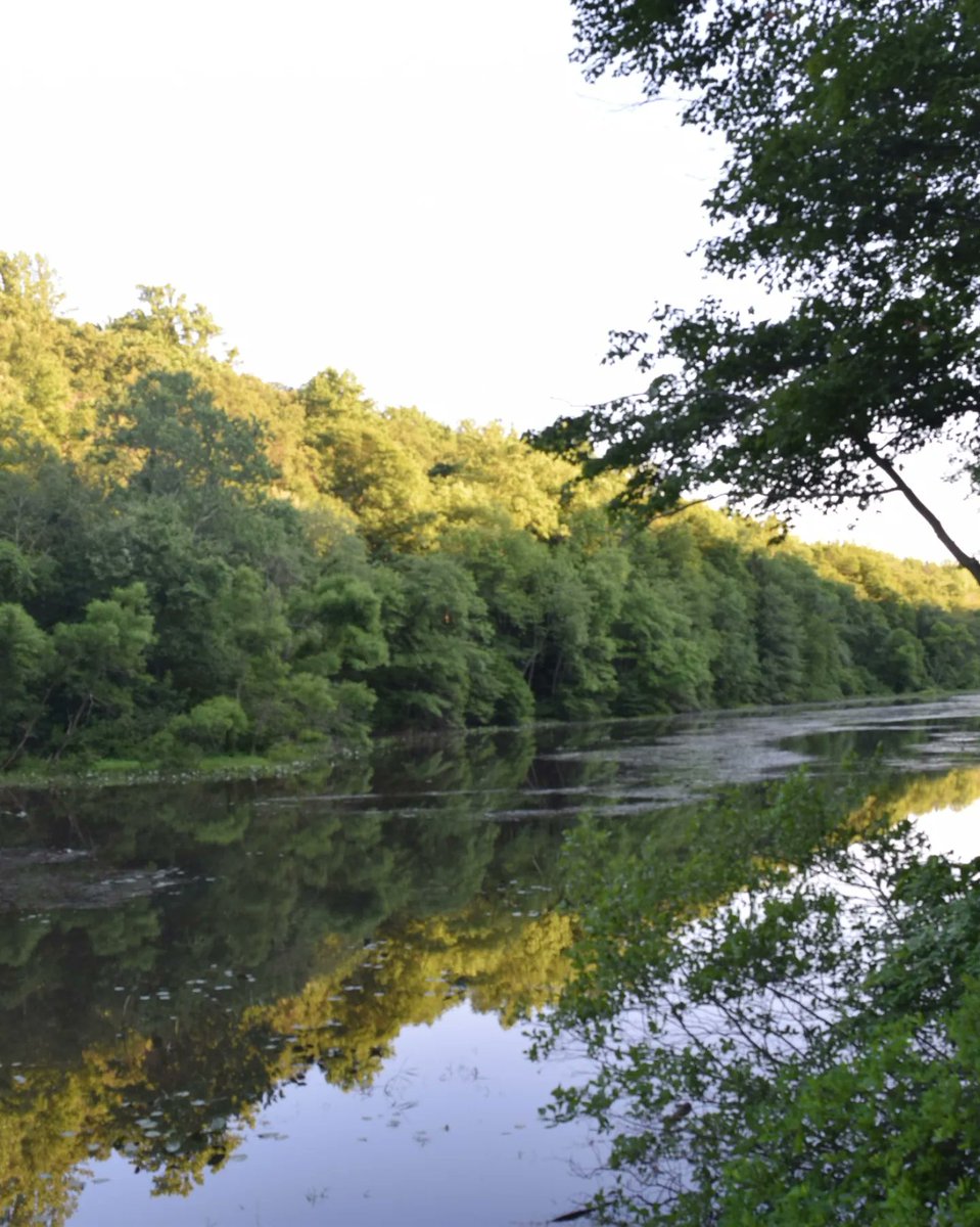 NJGov's tweet photo. "I think that I shall never see

A poem lovely as a tree."

— Excerpt from the poem "Trees" by famous poet Joyce Kilmer, born right here in New Jersey.

#ArborDay https://t.co/U3nU7hItqS