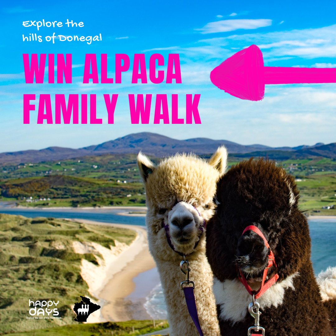HappyDays_NW's tweet photo. Win Alpaca Family Walk ticket! 💕

To participate, all you have to do is:

1. Join our community group on Facebook: https://t.co/sxbEfkGP2Y

2. Follow Wild Alpaca Way: https://t.co/HbnvmVjPV2

Good Luck! 🍀 https://t.co/E7yfurQTCb