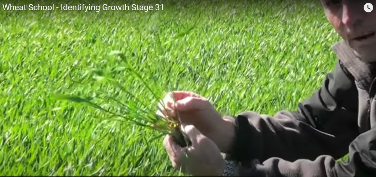 Dave Hooker tweet media