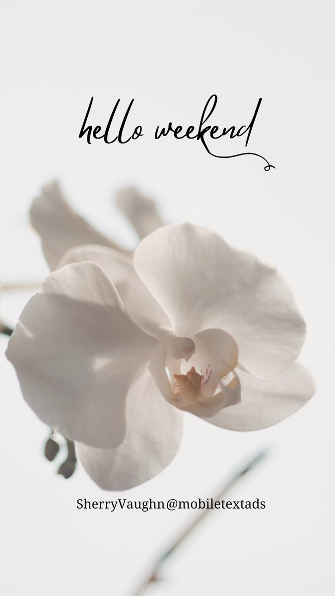 Sherry Vaughn tweet media