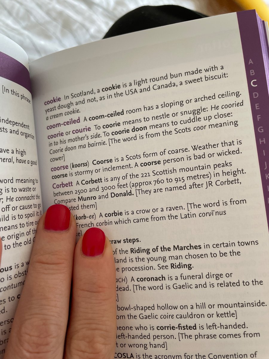 heathrmoor's tweet photo. @DicksonBob This handy wee Scots guide keeps on giving 🎉 https://t.co/JDMmT8GtkQ