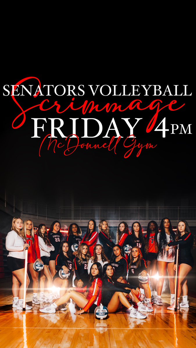 Davis & Elkins Volleyball tweet media